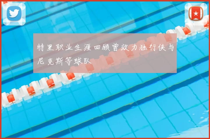 特里职业生涯回顾曾效力独行侠与尼克斯等球队