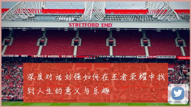 深度对话刘强如何在王者荣耀中找到人生的意义与乐趣