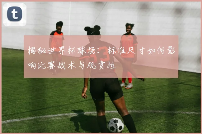 揭秘世界杯球场：标准尺寸如何影响比赛战术与观赏性