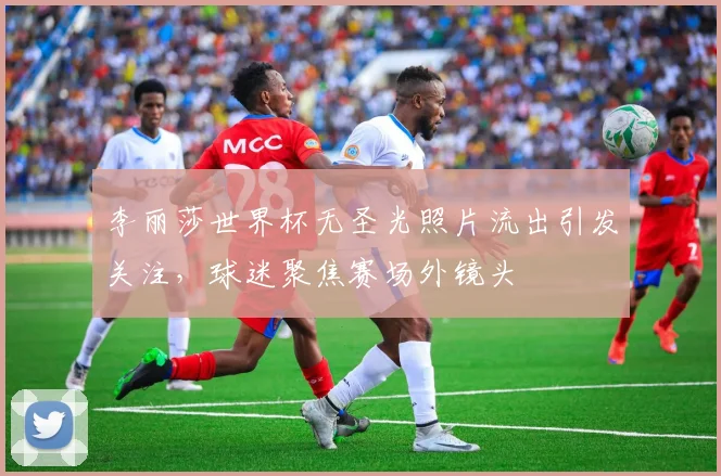 李丽莎世界杯无圣光照片流出引发关注，球迷聚焦赛场外镜头