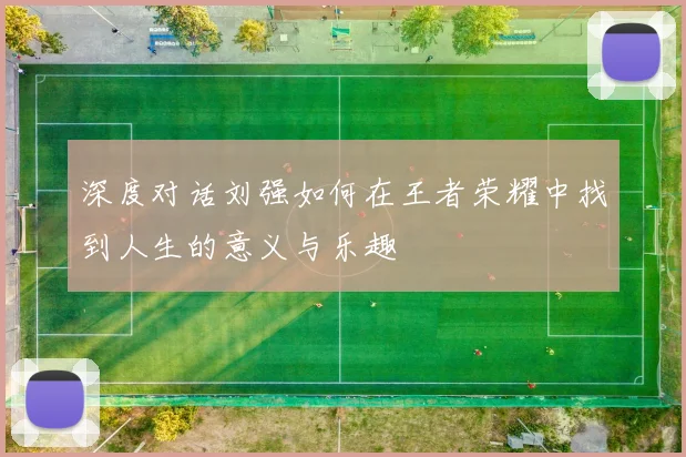 深度对话刘强如何在王者荣耀中找到人生的意义与乐趣