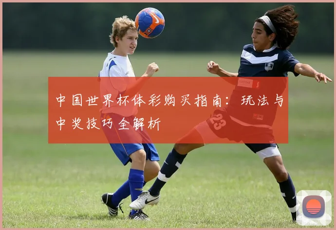 中国世界杯体彩购买指南：玩法与中奖技巧全解析