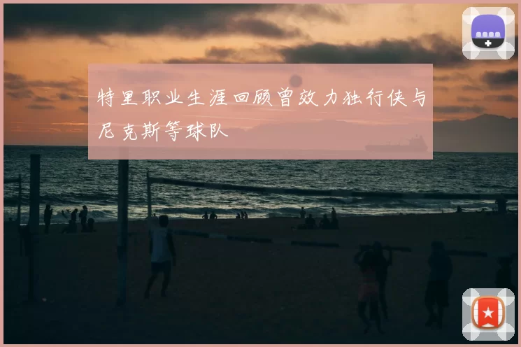 特里职业生涯回顾曾效力独行侠与尼克斯等球队