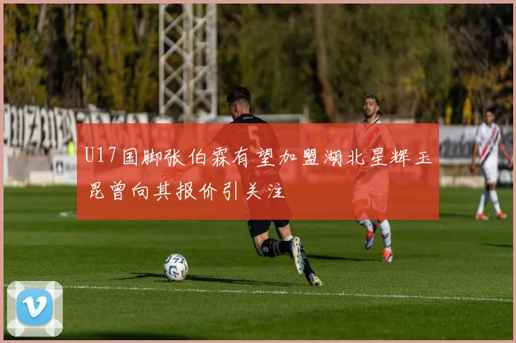 U17国脚张伯霖有望加盟湖北星辉玉昆曾向其报价引关注