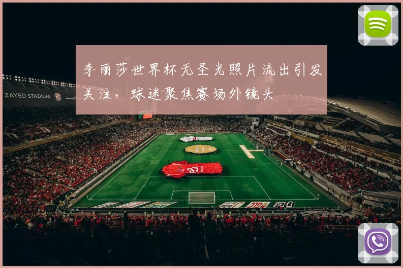 李丽莎世界杯无圣光照片流出引发关注，球迷聚焦赛场外镜头