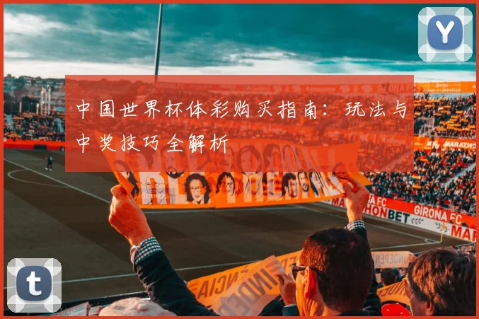 中国世界杯体彩购买指南：玩法与中奖技巧全解析