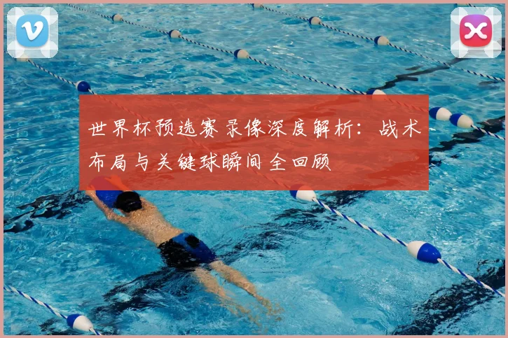 世界杯预选赛录像深度解析：战术布局与关键球瞬间全回顾