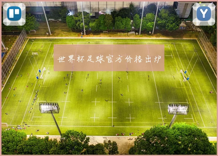 世界杯足球官方价格出炉