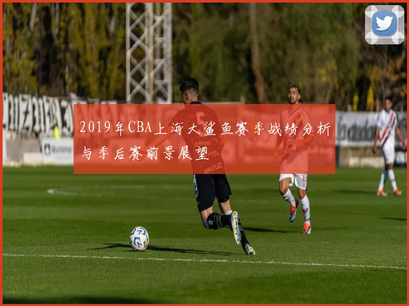 2019年CBA上海大鲨鱼赛季战绩分析与季后赛前景展望