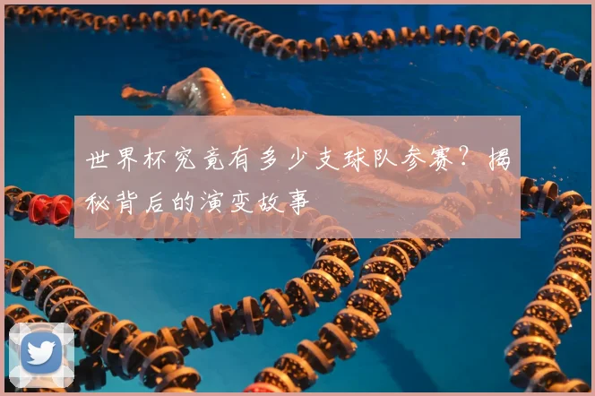 世界杯究竟有多少支球队参赛？揭秘背后的演变故事