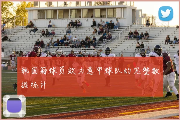 韩国籍球员效力意甲球队的完整数据统计
