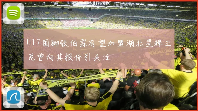 U17国脚张伯霖有望加盟湖北星辉玉昆曾向其报价引关注