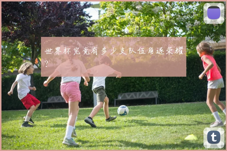 世界杯究竟有多少支队伍角逐荣耀？