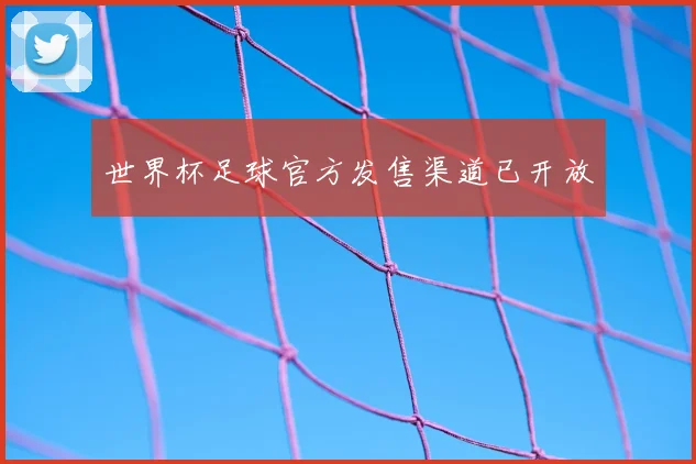 世界杯足球官方发售渠道已开放
